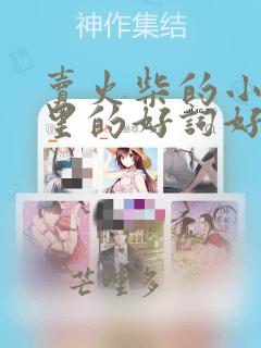 卖火柴的小女孩里的好词好句摘抄