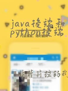 java后端和python后端