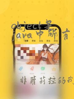 object是java中所有类的共同父类
