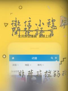 微信小程序前端开发语言