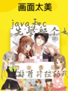 java和c  先学哪个好