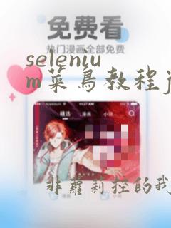 selenium菜鸟教程java