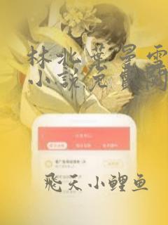 林北叶曼雪主角小说免费阅读