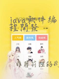 java软件编程开发