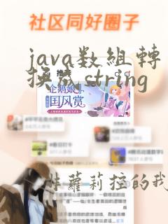 java数组转换成string