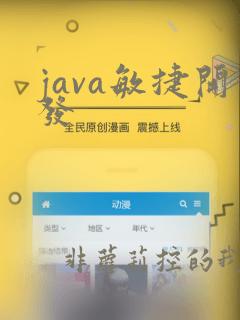 java敏捷开发