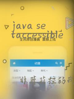 java setaccessible