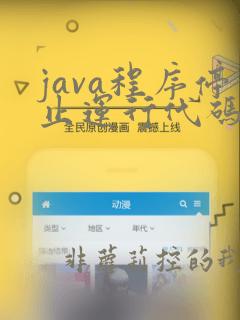 java程序停止运行代码