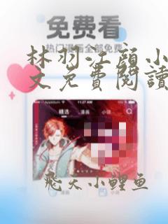 林羽江颜小说全文免费阅读最新章节目录
