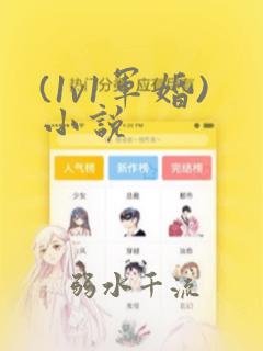 (1v1军婚)小说