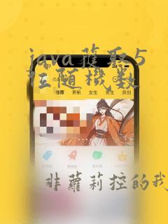 java获取5位随机数