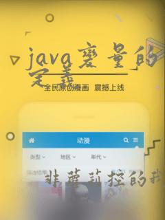 java变量的定义