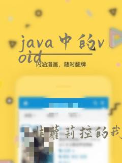 java中的void