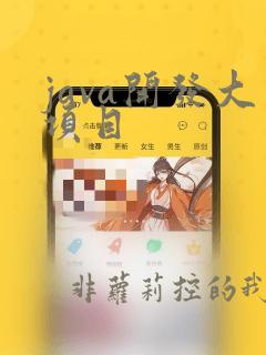 java开发大项目
