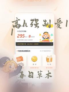 高h强制爱1v1