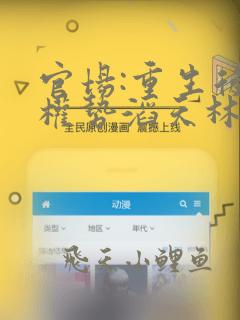 官场:重生后我权势滔天林峰的小说
