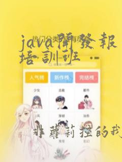 java开发报培训班