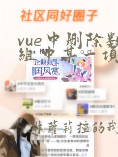 vue中删除数组中某一项