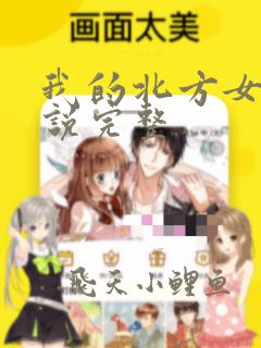 我的北方女孩小说完整