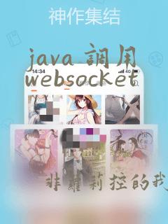 java 调用websocket