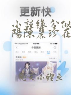 小说缘分似梦宋阳陈丽珍在线阅读