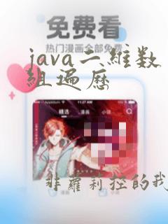 java二维数组遍历
