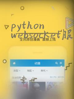 python websocket服务端