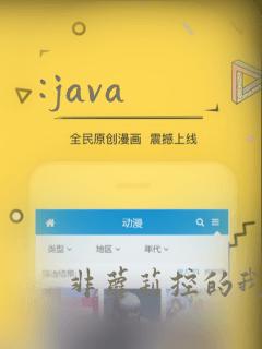 :java
