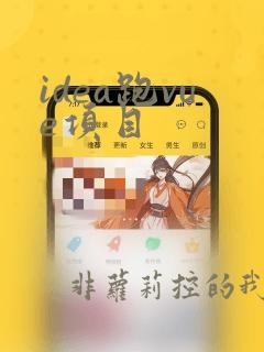 idea跑vue项目