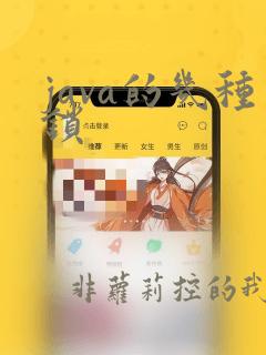 java的几种锁