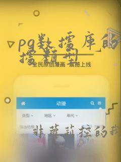 pg数据库的数据类型