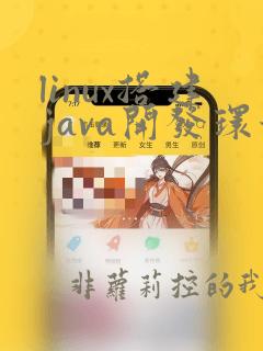 linux搭建java开发环境
