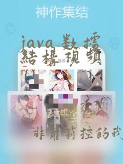 java 数据结构视频