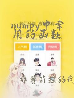 numpy中常用的函数