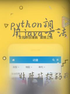 python调用java方法