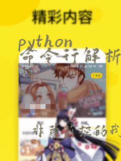 python 命令行解析