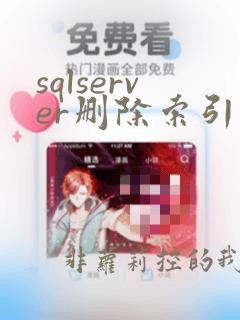 sqlserver删除索引的sql语句