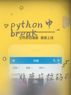 python中break