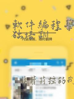 软件编程学0基础培训