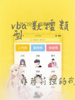 vba 数据类型