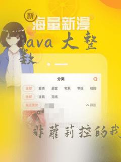 java 大整数