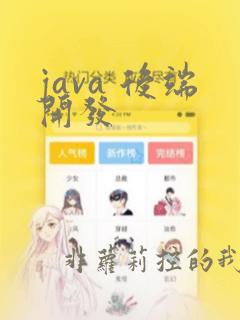 java 后端开发