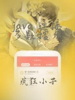 java 连接多数据库
