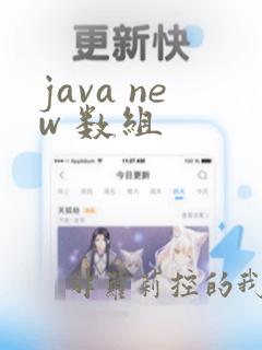 java new 数组