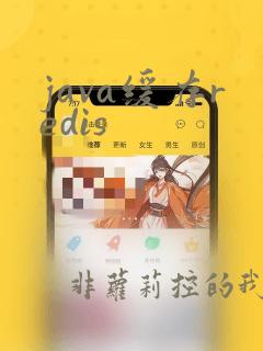 java缓存redis