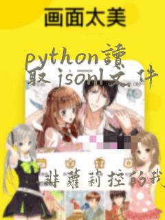 python读取jsonl文件