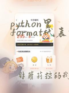 python里format代表什么