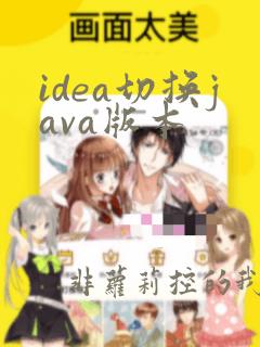 idea切换java版本