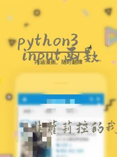 python3 input函数