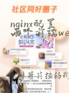 nginx配置两个前端web服务